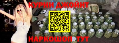 гидра Кингисепп