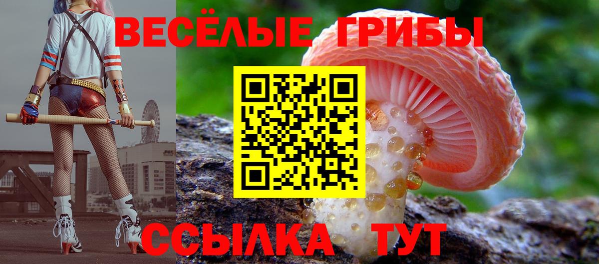 Галлюциногенные грибы Psilocybe  Вход с VPN  дарнет шоп  Биробиджан  Псилоцибиновые грибы мухоморы 