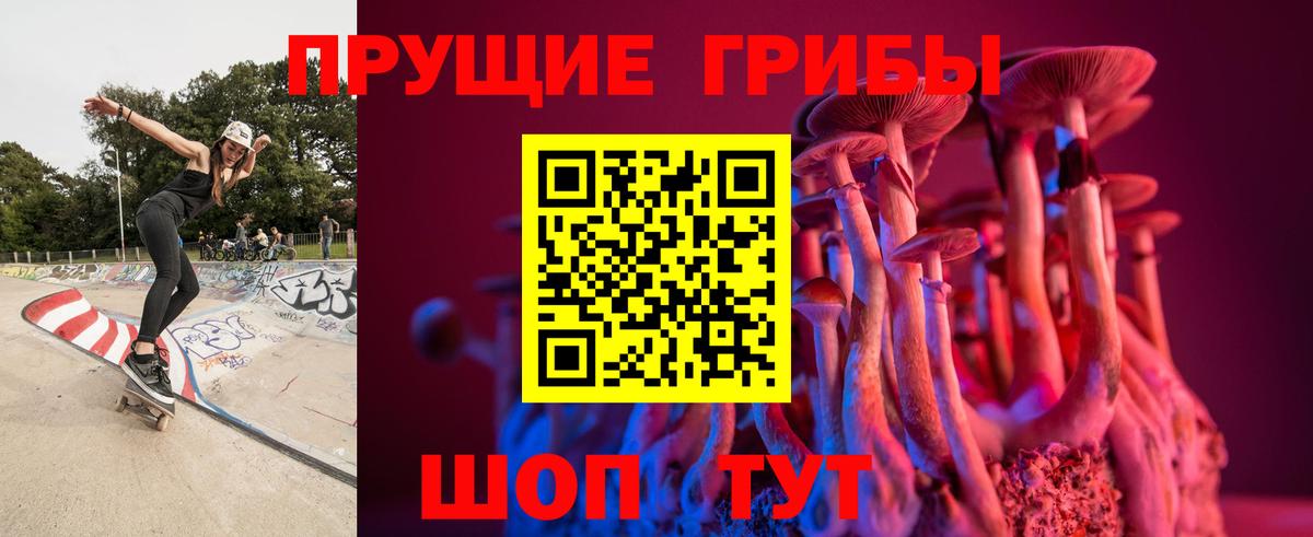 Псилоцибиновые грибы мицелий Биробиджан